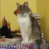 Отзыв от Наиля Ракова